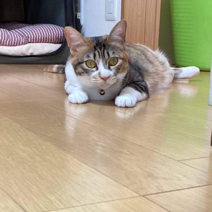 E2ee011b a8d1 4fab 95fb ab6844eeff8c 1680493370885