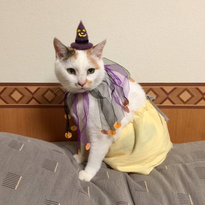 E2ee013a 6b5e 4b6f b6b1 f09db9471d9c 1507813836040