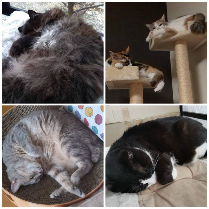 E2ee20bb 6254 4b1b a428 e032ea9422c7 1685879867436