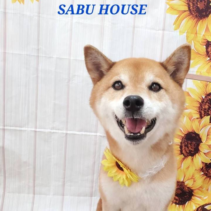 E2ee6964 1d29 4eb8 9552 eed75c99f043 1688965006127