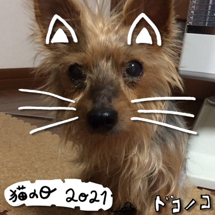 E2ee960a 8c90 47f4 8bb2 bba8f6df3f1e 1613961131944