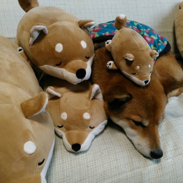 E2eea30b a2fe 408e a252 e2b73f924b83 1511919469705