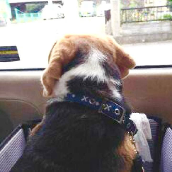 E2eebc8e 3486 42e1 9cc8 c36d58868273 1729289980398