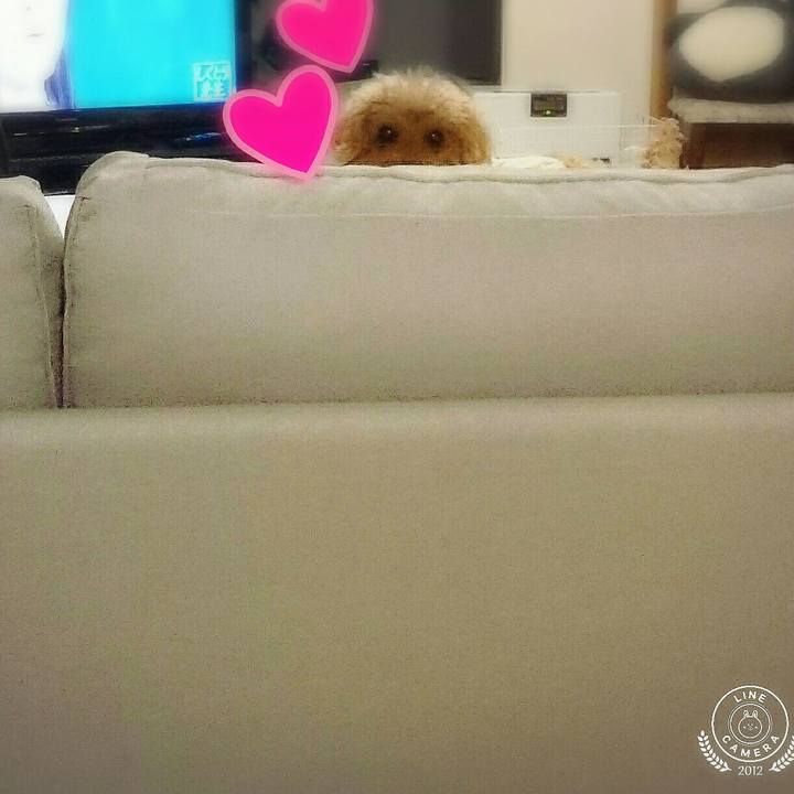 E2eedb47 62ad 424c 8046 fcabe3665222 1517137918587