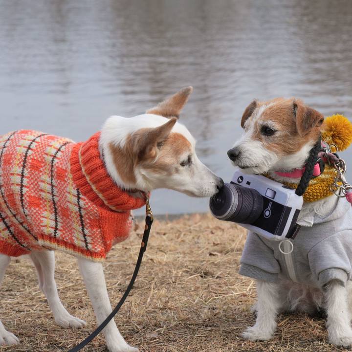 E2ef2eed 29cb 4ddc a702 278917768c90 1736688292956