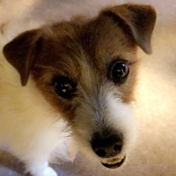 E2ef5454 de3b 4211 9c69 8e8fbde020d0 1557097547987