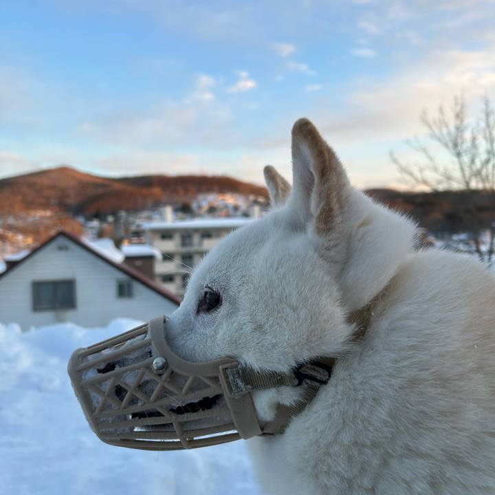 E2efad3d f1a3 40c0 bce5 9860704d44fa 1706054621863