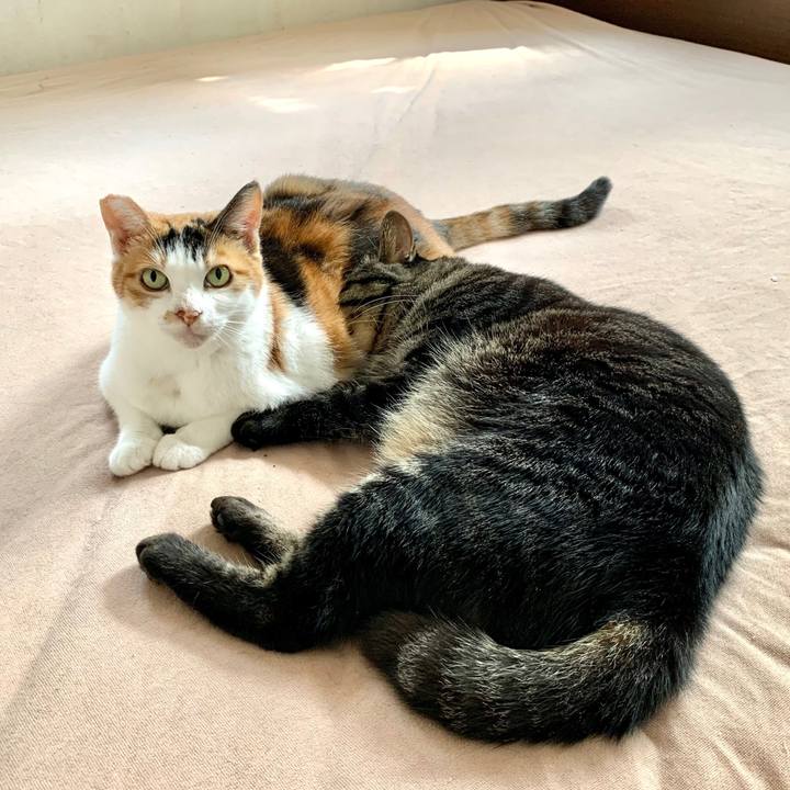 E2f040b4 38e5 49d2 9668 9c3a7f732e10 1665325533793