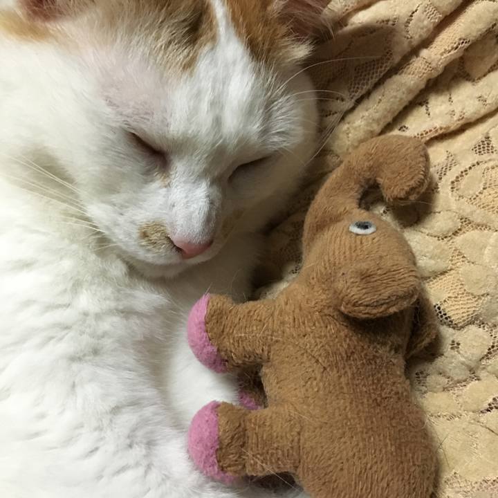 E2f04c5b cc60 44d7 a58f cb607821ee29 1555938060865