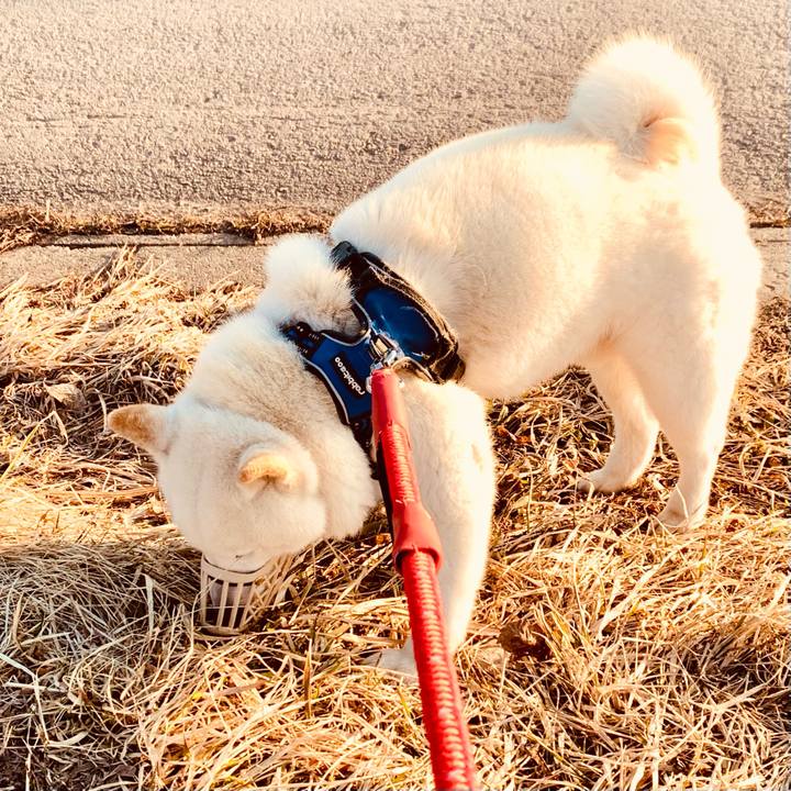 E2f04e4b e01d 46ef b7c6 ef2791abf73b 1649021867435