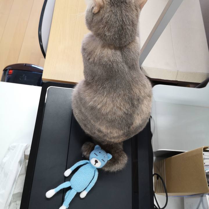 E2f063ce ddf7 4923 ad98 6a0d3b65750d 1573805718236