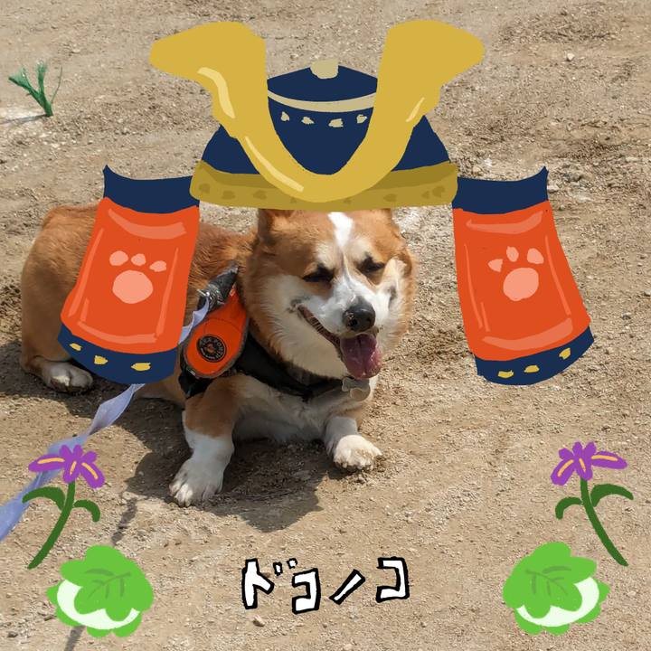 E2f07748 3c15 4921 af7f 6a60ff4db002 1715110887873