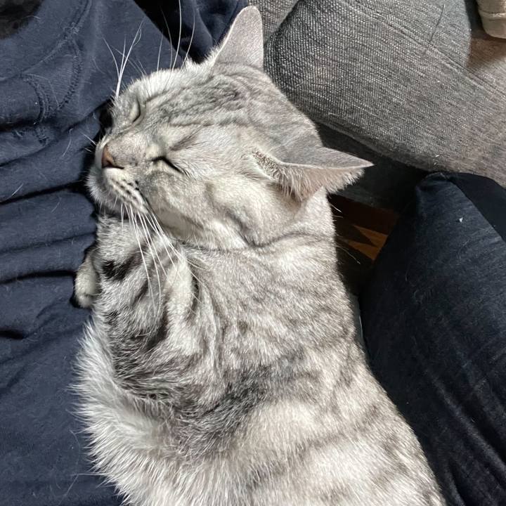 E2f08653 f0e7 47fd 98d2 3ca48d87623c 1668155095151