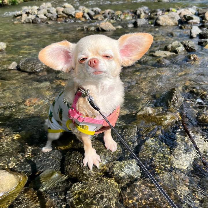 E2f08678 6848 4586 8b53 f5ffacb233fe 1723727652048