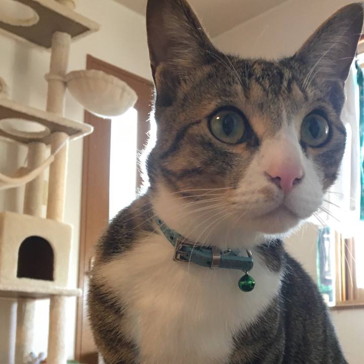 E2f0a235 5444 4b30 8be4 0474b38cb545 1667515932536