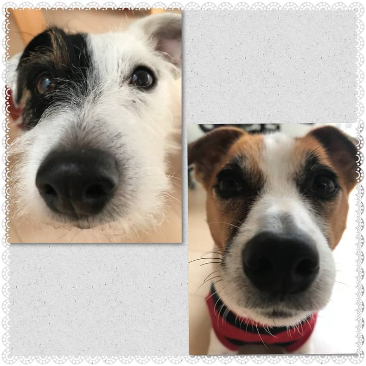 E2f0d1e8 d5a9 4813 9d32 fc9f37d5ba1b 1511822884541