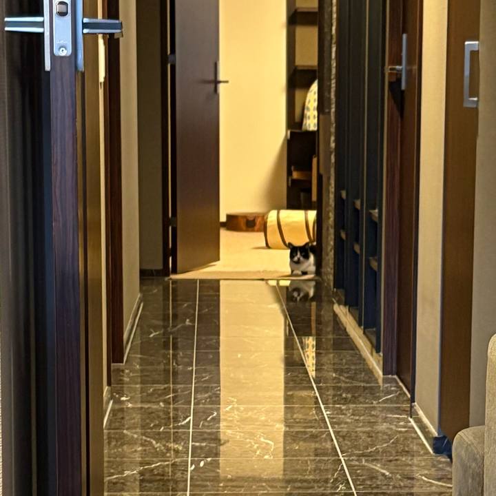 E2f0e24f 7932 4f84 942e 780ec188ad00 1766397280281