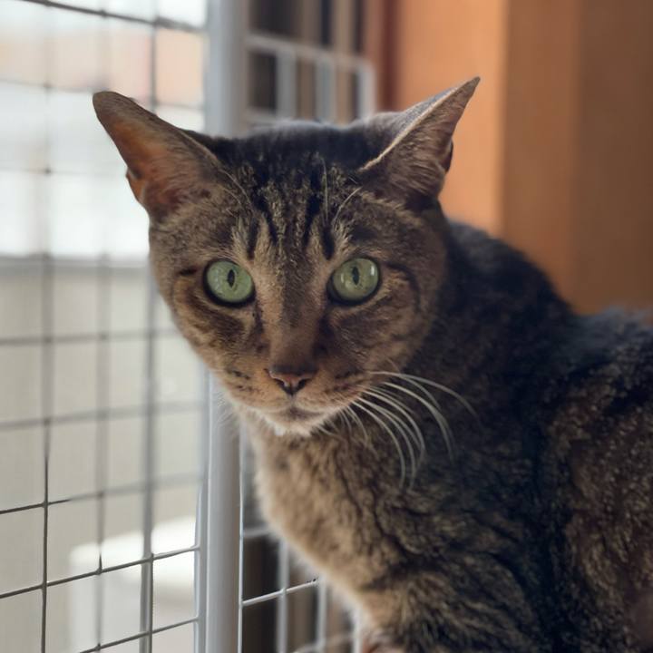 E2f0e290 a304 49d9 91dc 07d1a160d776 1621994018561