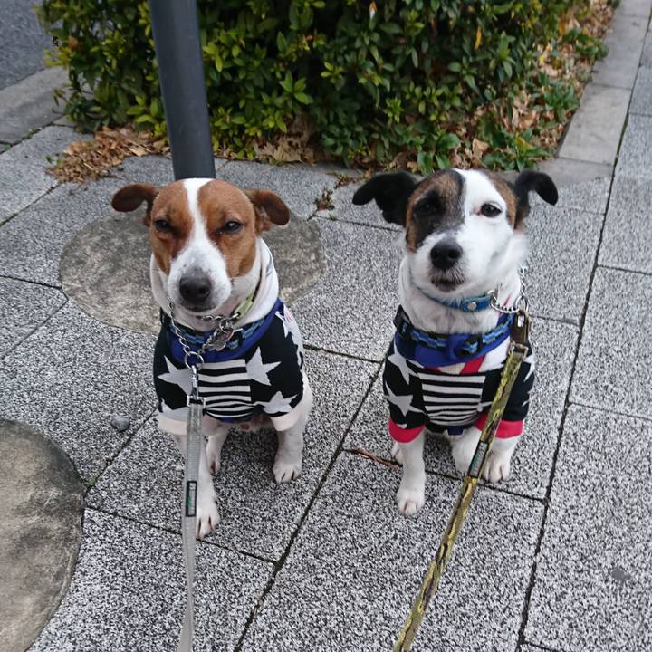 E2f0e6ca dbf8 4aed bd42 430840c3696d 1612132346811