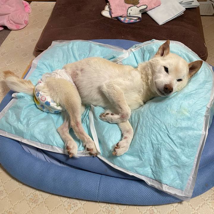 E2f0fb9a 4d13 4f03 95f4 fe41db4485a5 1679478548492