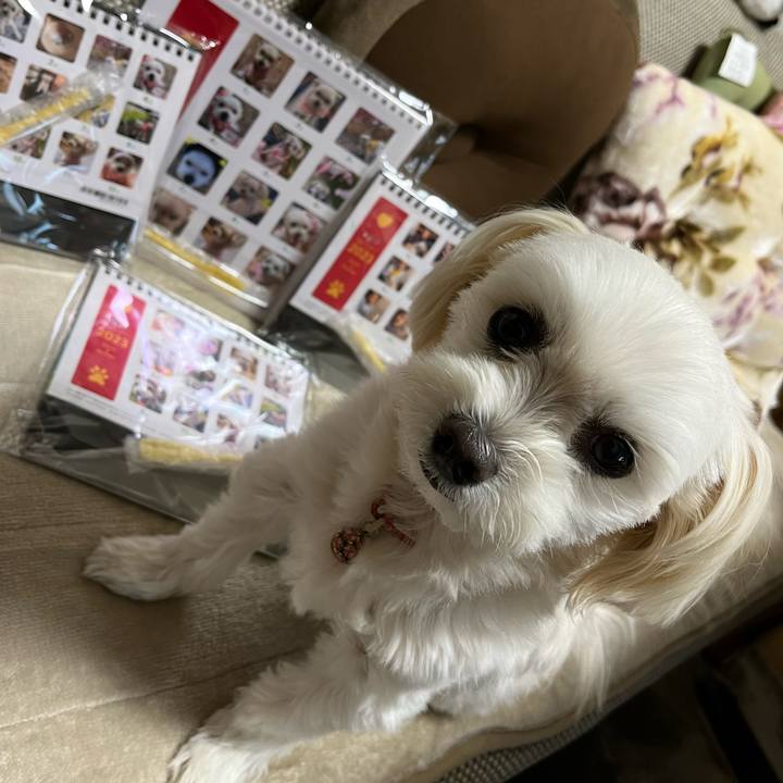 E2f106d1 8277 4fe2 93f5 5cc245c4b784 1668656180179