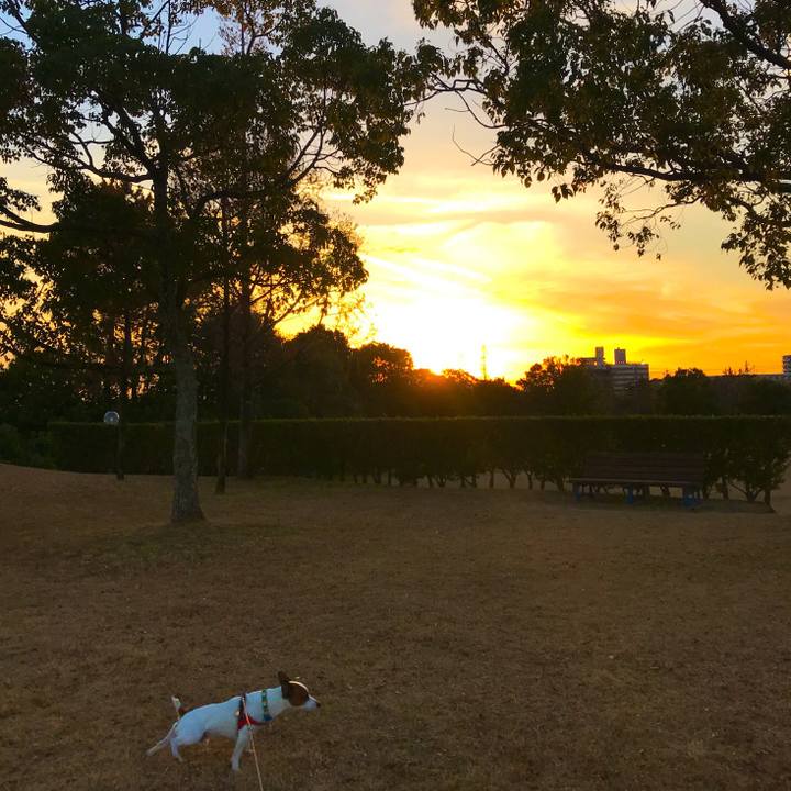 E2f12d47 91c1 44a7 88b7 932e64d41803 1513245803368