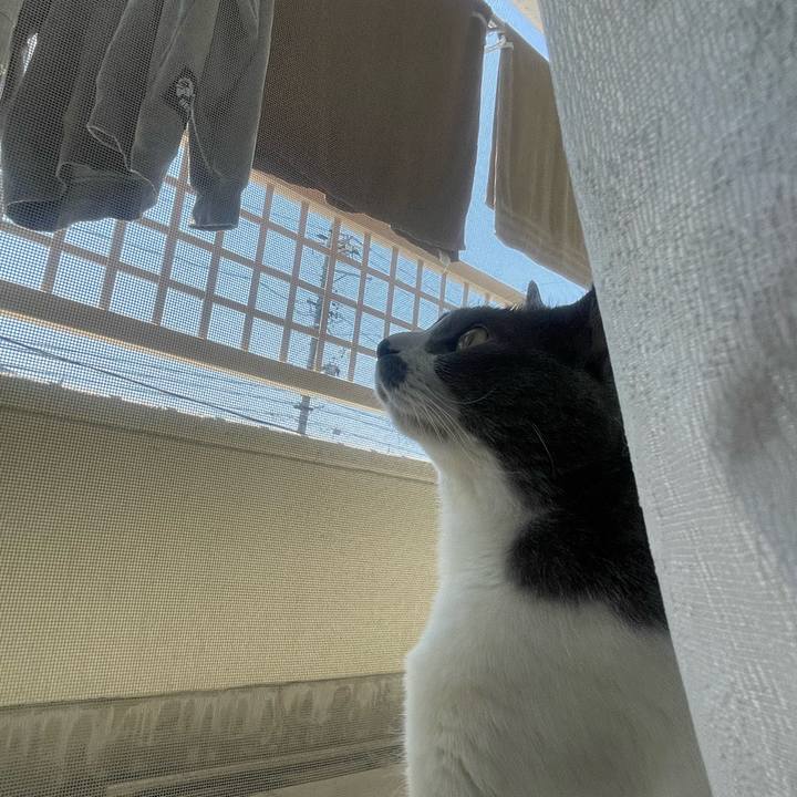 E2f132a0 b45f 42df 9f43 2a87f8f4568c 1714270482706