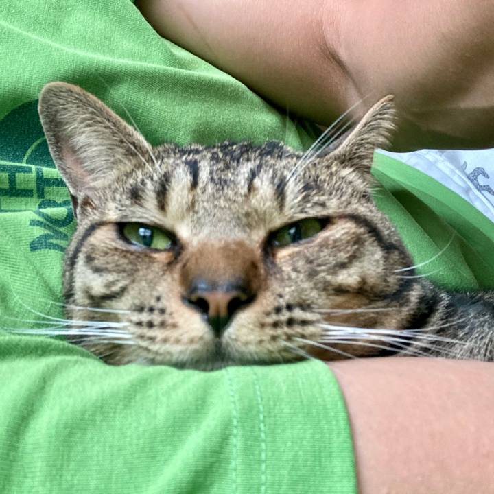 E2f16219 6611 4058 93a4 68bbca279833 1688255415471