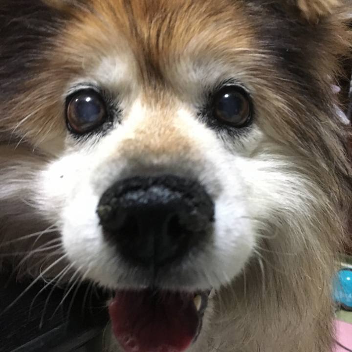 E2f1971b 23c3 48c4 9e44 4389f0710db7 1561680920287