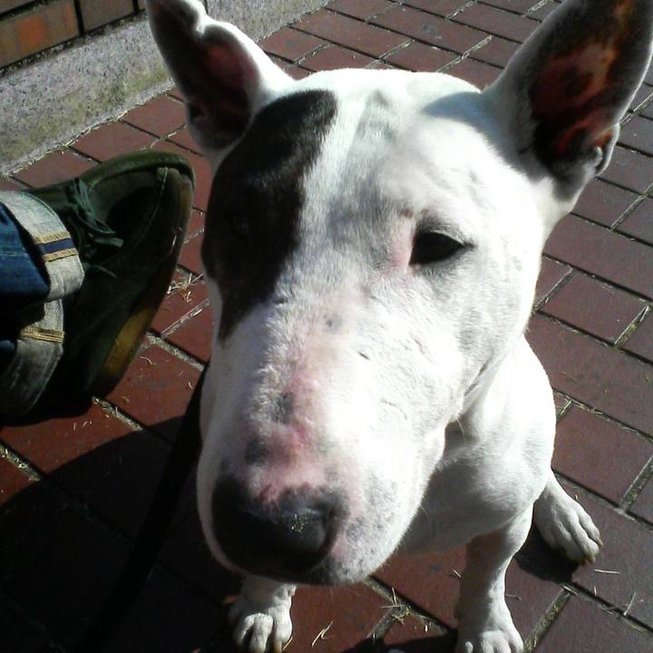 E2f2123a 9227 483d ab21 b31d892234fa 1512962291910