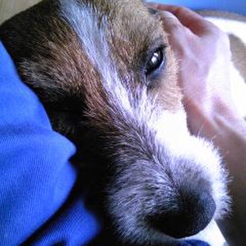 E2f212ce 6d84 49e9 9024 a1ff75f53a72 1522220793083