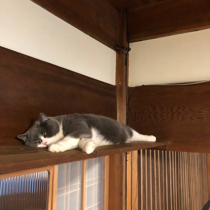 E2f22804 bf19 43ab ad84 b9e934e1e499 1577931919082