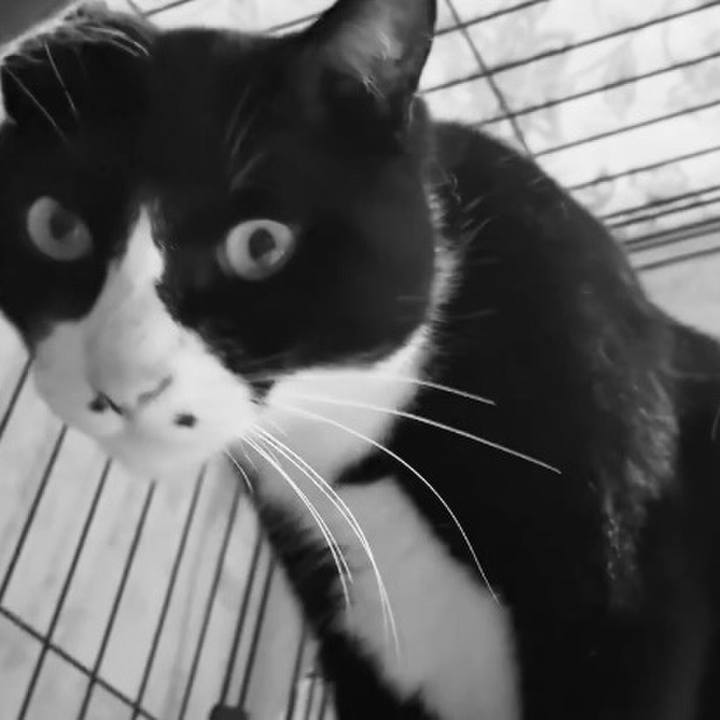 E2f249b4 c7aa 4987 9c06 946de4e996a2 1744190996213