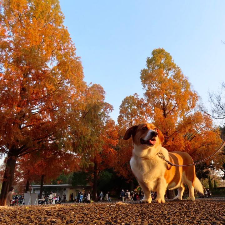 E2f25618 1b28 4cda ac85 18e0956b17df 1637541990535