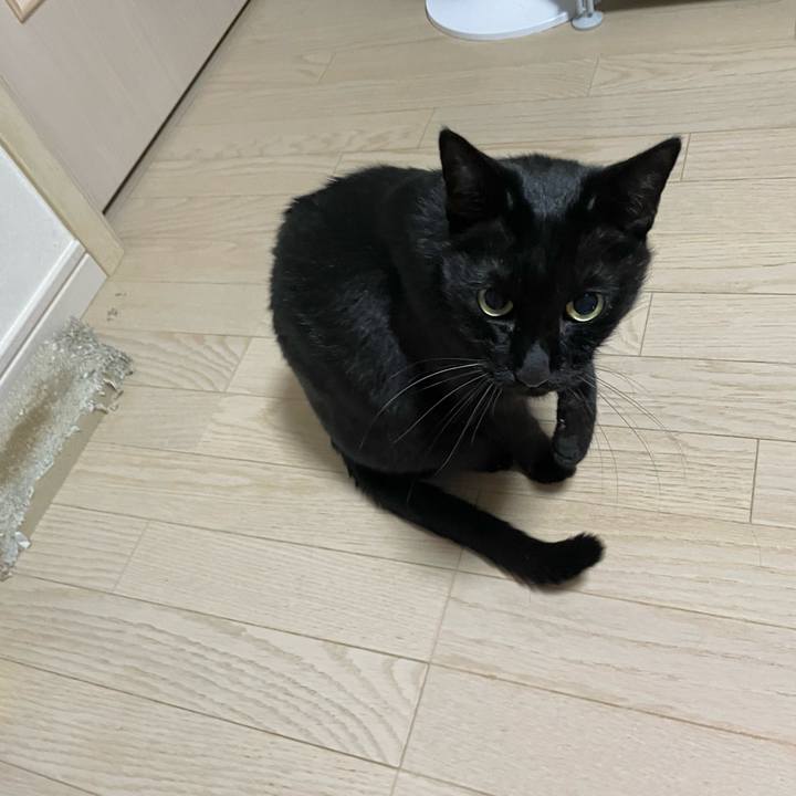 E2f25d7b f0e3 475d aaae 4e9ba2c000da 1764336031514