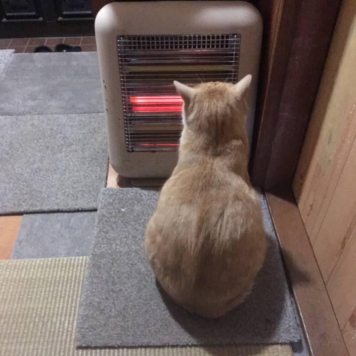 E2f26509 ae32 48e8 9f08 319e93e12e28 1514762008744