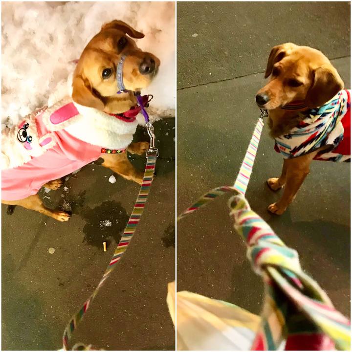 E2f2c2b8 c89f 4190 be02 744a2cd00bba 1516883894541