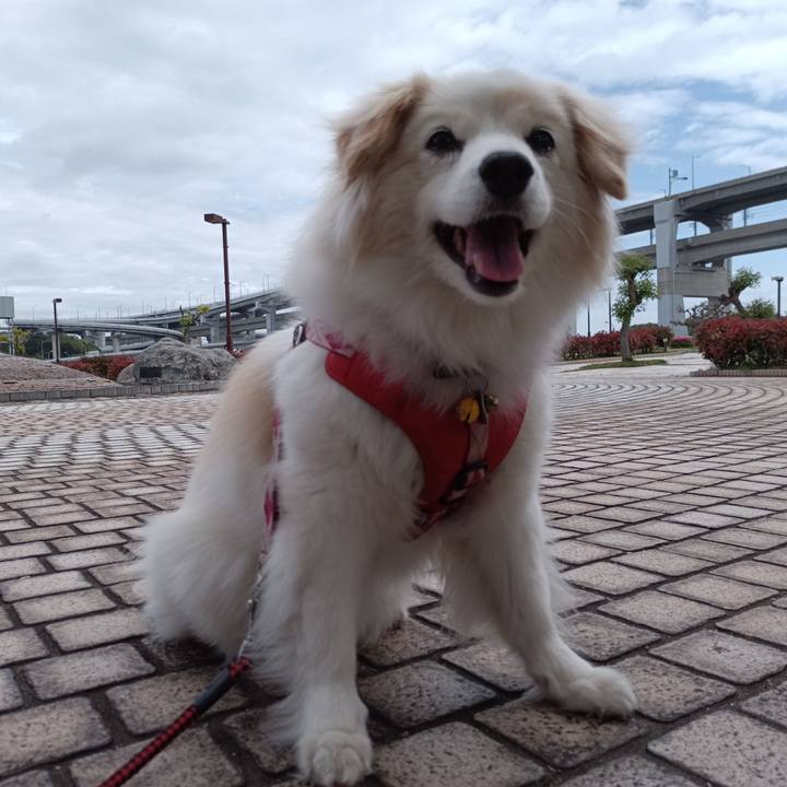 E2f2c5c4 a86a 49f0 a9ae 65ca2c320594 1683336983912