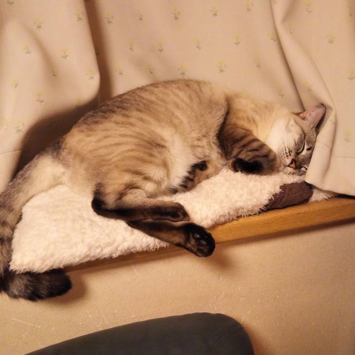 E2f32397 1ed2 46dc 9fdb 0d7ccfb586b9 1543245773866