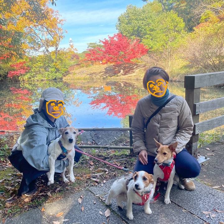 E2f3344d cf66 49f1 b473 fc348a6ffce7 1763981612828