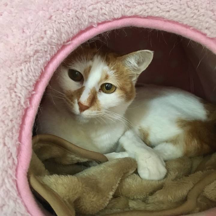 E2f34328 caf7 4a90 b809 1721d052f858 1558175846046