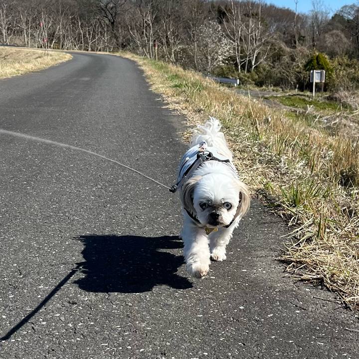 E2f34d6b 6e7e 4e43 9d90 4b59c1f5a361 1679312614557