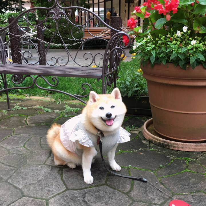 E2f3503c c738 4ed4 8fd4 cab12b0b752d 1595397281682