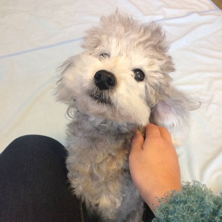 E2f352d4 c0c4 4330 bf96 cba1fef67c9f 1518830080641