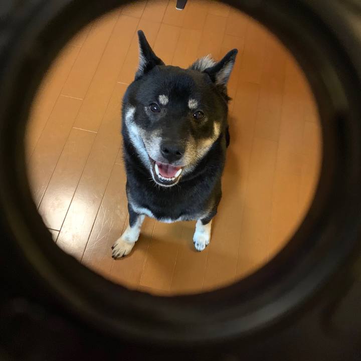 E2f3595a b9c9 4336 84e2 a286f8030cf7 1570538153450