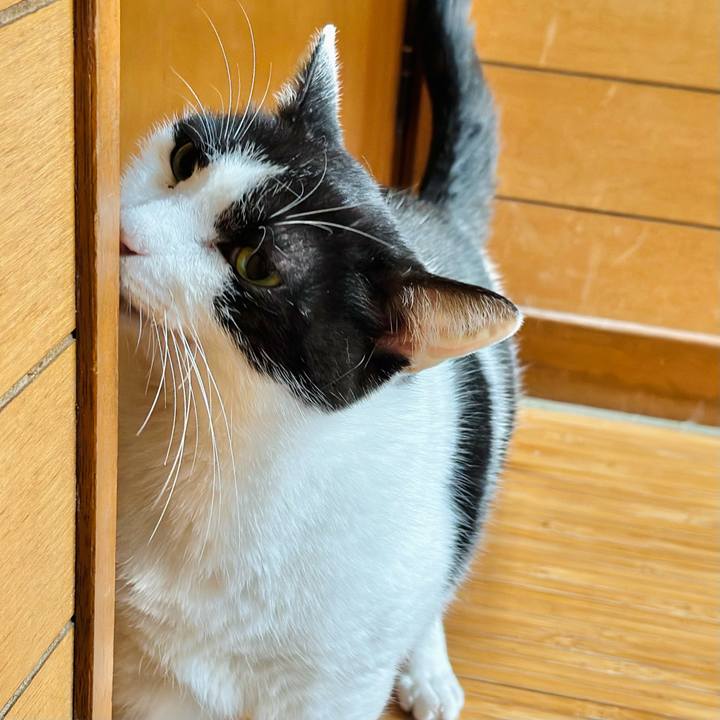 E2f36d14 4480 43c3 a86a 47fbf523427f 1701922498078