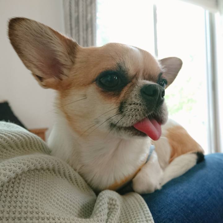 E2f38533 5064 4c73 81cb 852363a2d5e6 1588309160425