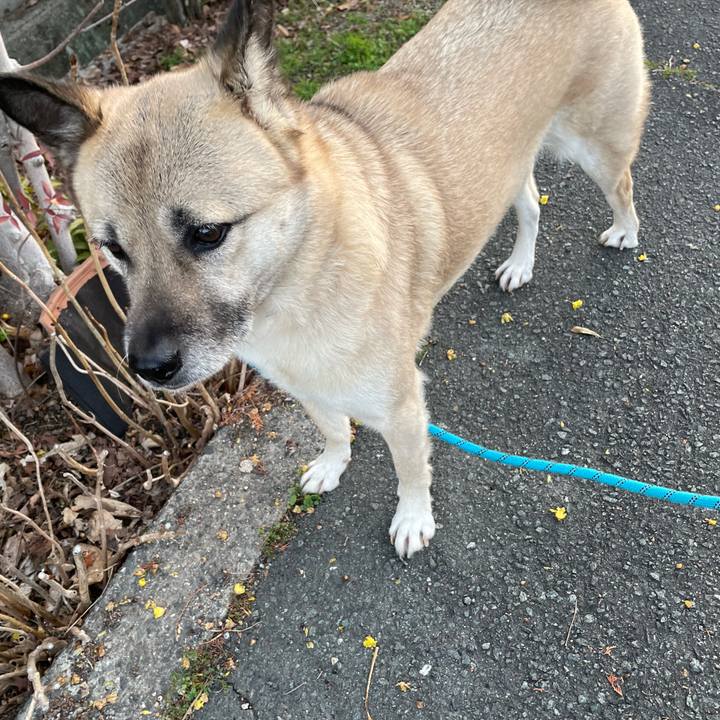 E2f38d4f 10c8 4f44 9a2e 6c239b5cf001 1676635262990