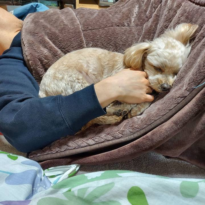 E2f3ac87 fc4c 4b05 b4a4 9d869944509f 1640857350492