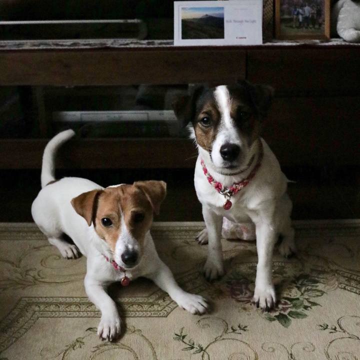 E2f3ba1c 85f7 4873 9ad3 749251489083 1514735049842